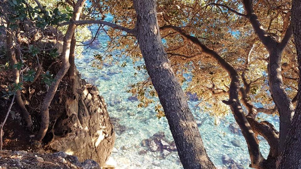 Apartments Adriatic 3 Селце Экстерьер фото